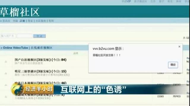 色情网站黑色产业链:女主播年入上千万?你登录便可被黑客控制