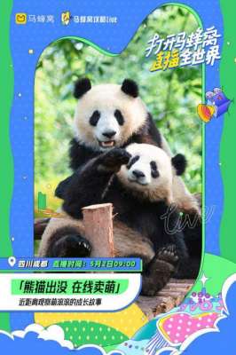 女主播小珍(用直播攻略世界，马蜂窝“五一”推出千场旅游直播)