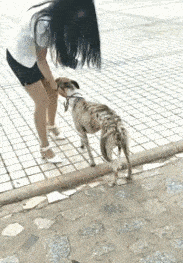 美女穿的衣服几乎透明露出来的部位，胆小的人不敢看。