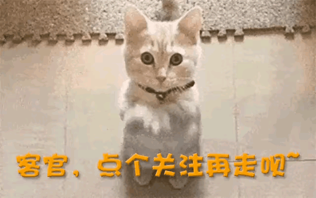 秋天的第一杯奶茶竟然和H色网站密不可分?