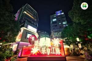 早安新闻 女主播天堂(迎新之夜感受中国式浪漫，《早安老友记》明星主播点燃冬日活力)