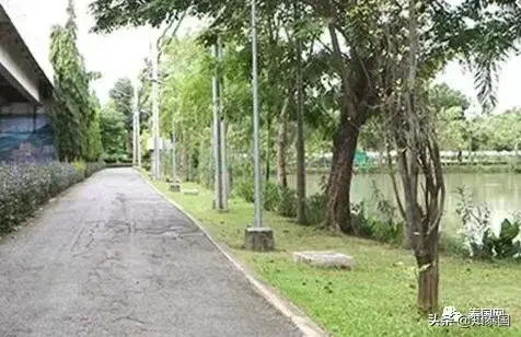 佛祖，蜥蜴，避孕套，同性恋聚会，以及曼谷市长的赌局