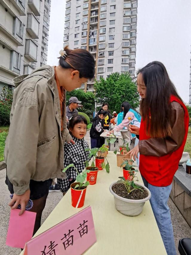 当萌娃遇上“小苗苗”……松江这场亲子游园会有趣又有料