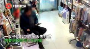猫踹女主播(女子退猫不成暴摔小猫还用脚踩，监控拍下虐心一幕，当事人回应了)