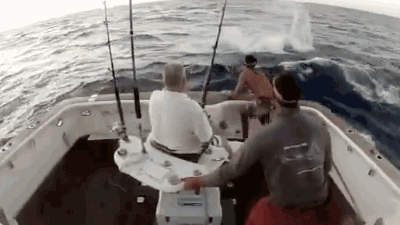 搞笑GIF：直播UP主，挑战中国生产的风油精，宝宝懵逼了！