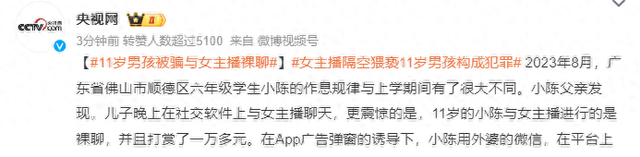 41岁女主播裸聊引诱11岁男孩打赏万余元,获刑3年