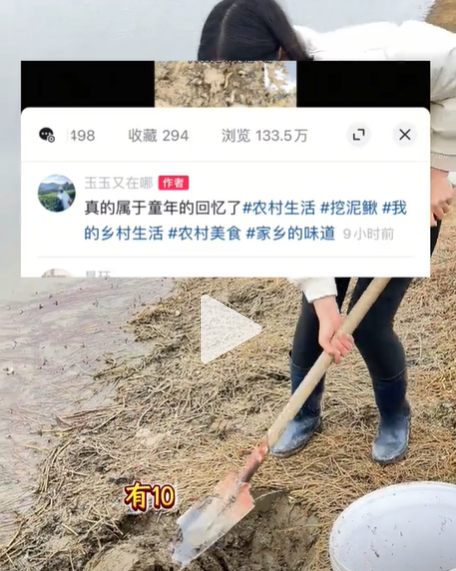 1小时狂挖半桶,湖北姑娘失业回家转行泥鳅西施,引得百万人围观
