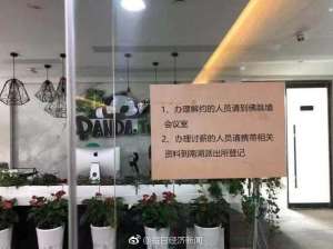 熊猫第一女主播(熊猫女郎最后一夜：直播关停被欠薪 曾“冲王思聪来”)