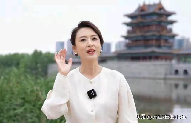嫁给70岁富翁?包养四个男人?央视女主持人私生活谣言有多离谱?