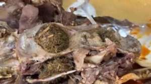 美女主播 青草(博主直播吃卤羊头时吃出青草，官方通报：属实)