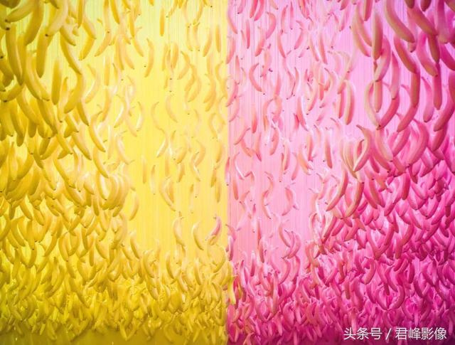 不谈情怀,这台6万多的中画幅哈苏X1D值不值得买?