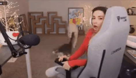 外国游戏女主播扔猫踹狗还喂酒?当事人道歉,网友却这样说......