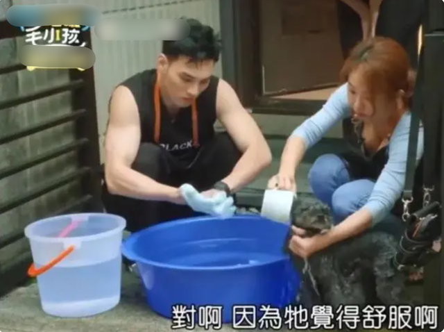 台湾女星上节目体验正骨,穿紧身衣多次走光,内衣被解仍配合演出