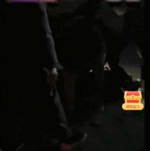 女主播何某(警方通报：网红何某等6人被抓细节公开)
