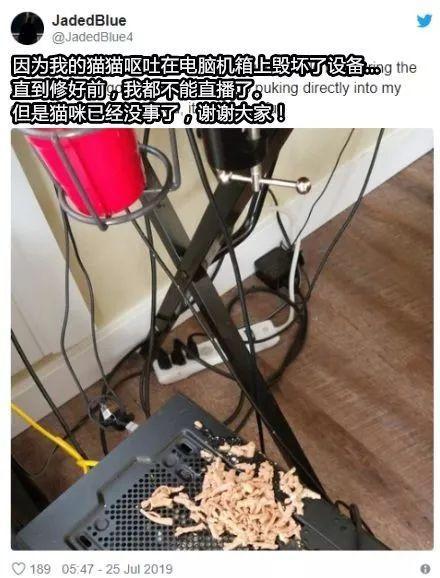 外国游戏女主播扔猫踹狗还喂酒?当事人道歉,网友却这样说......