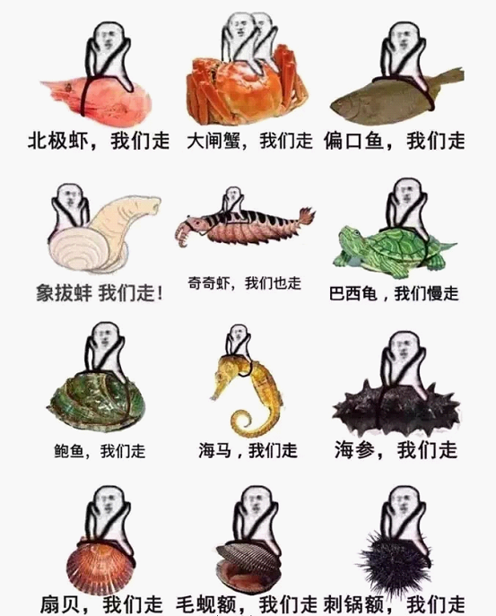 还记得“皮皮虾,我们走”吗?皮皮虾:每秒50次的铁拳见过没