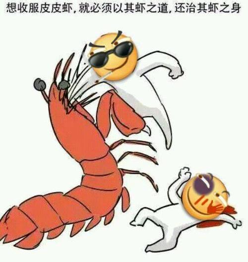 还记得“皮皮虾,我们走”吗?皮皮虾:每秒50次的铁拳见过没