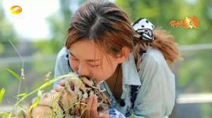 老虎直播女主播与小孩(长沙女孩与13只老虎为伴，自称“虎妈”还亲吻，不料2天被咬6口)