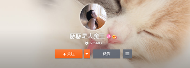LOL五个位置的技术女主播，既有技术又有颜值，你最喜欢哪个？