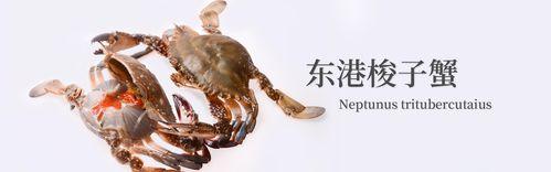 非洲姑娘嫁东北大叔,当上网红直播出轨,今带混血儿子回非洲生活