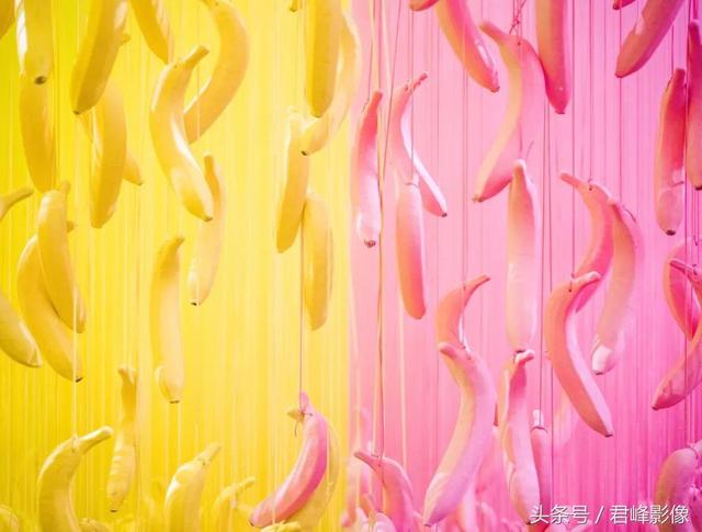 不谈情怀,这台6万多的中画幅哈苏X1D值不值得买?