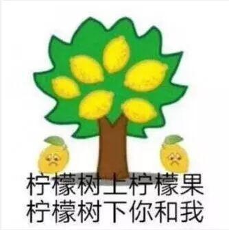 这波偷拍甜哭了!韩国大势人气演员承认恋爱!你啃的CP又错了吧?