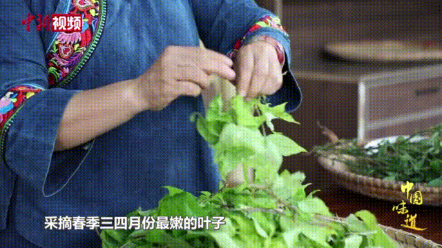 春天打翻调色盘，竟被壮乡人蒸成了饭！