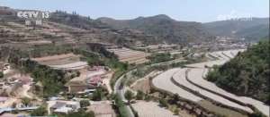 “科学防控+精准服务”各地积极应对旱情 保障高温天气农业生产