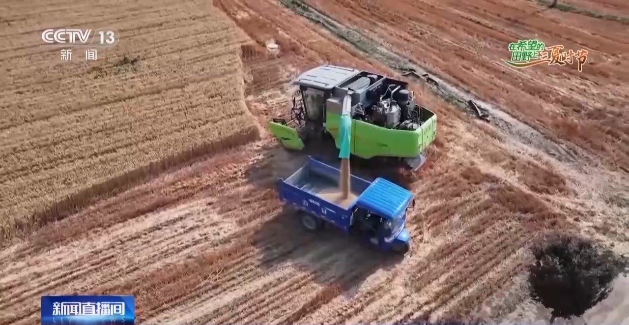 农田进了“托管班”、一地双收赚翻了……各地夏粮丰收有“粮”方