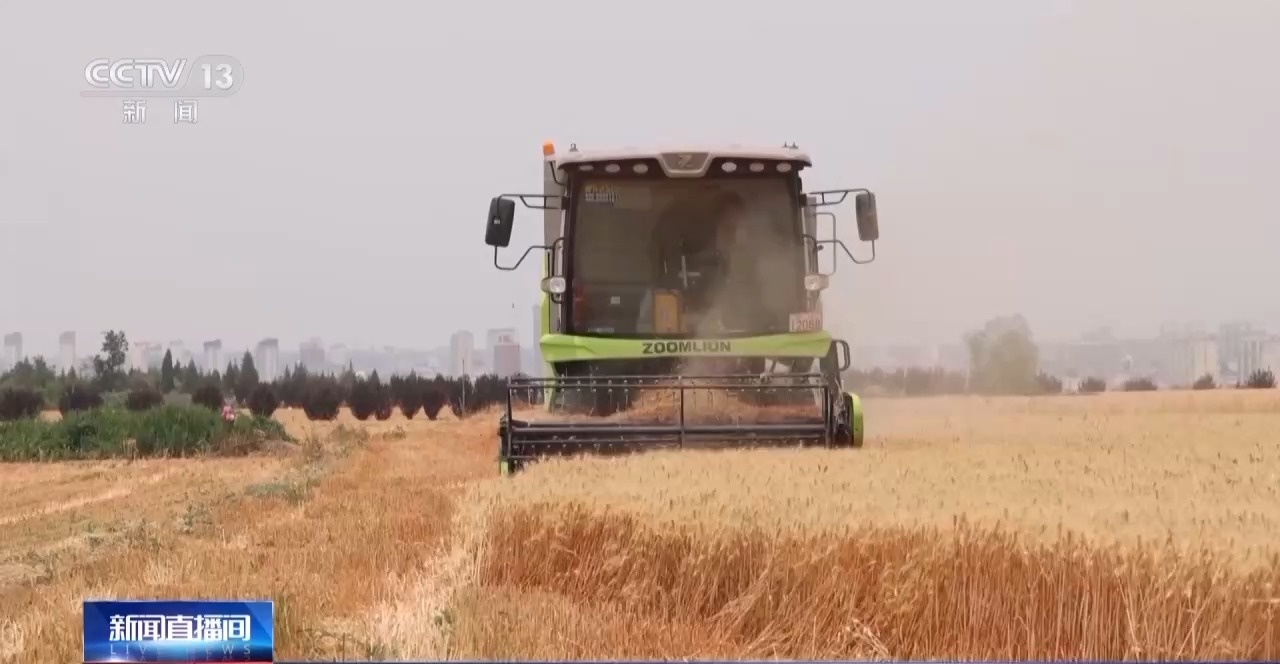 农田进了“托管班”、一地双收赚翻了……各地夏粮丰收有“粮”方