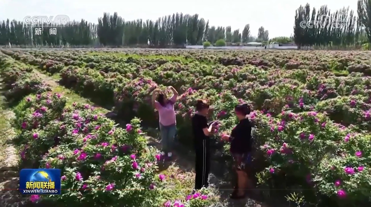 【新思想引领新征程】新时代党的治疆方略引领新疆谱写繁荣发展新篇章