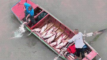 又是一年丰收时|丰收时节享美景,农文商旅融合铺就乡村振兴画卷