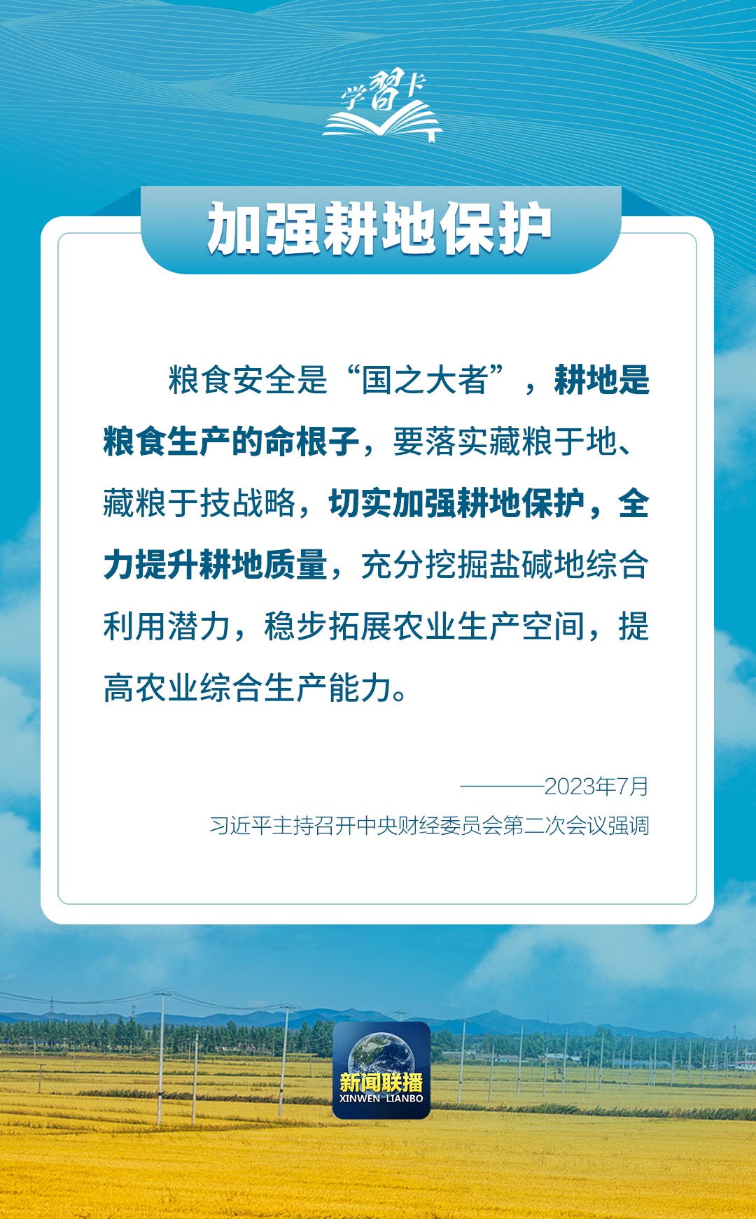 学习卡丨如何端稳端牢中国饭碗?总书记这样阐释