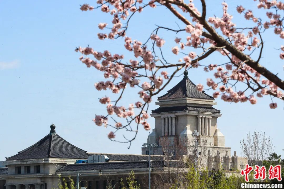 吉林大学,太宝藏了吧!