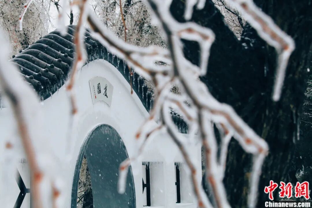 吉林大学,太宝藏了吧!