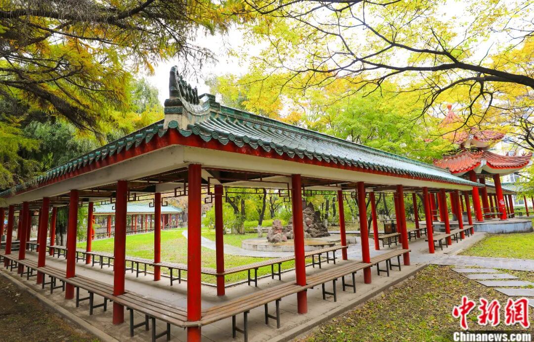 吉林大学,太宝藏了吧!