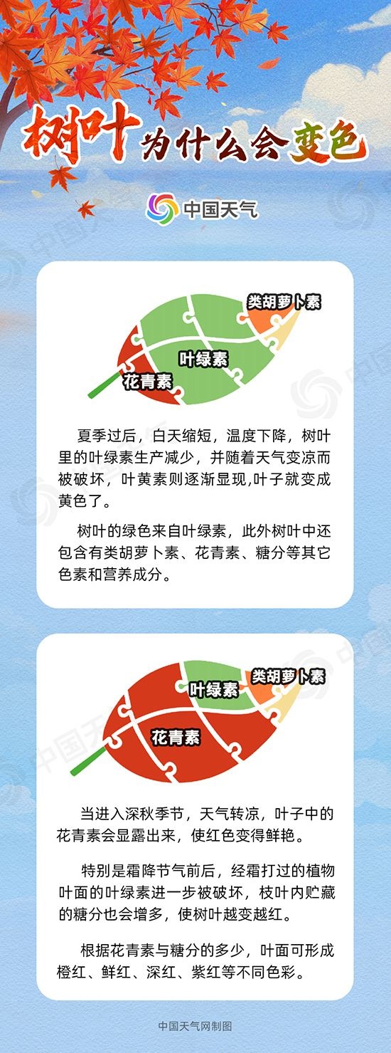 全国赏红叶地图出炉 十大观赏地带你体验不同秋色