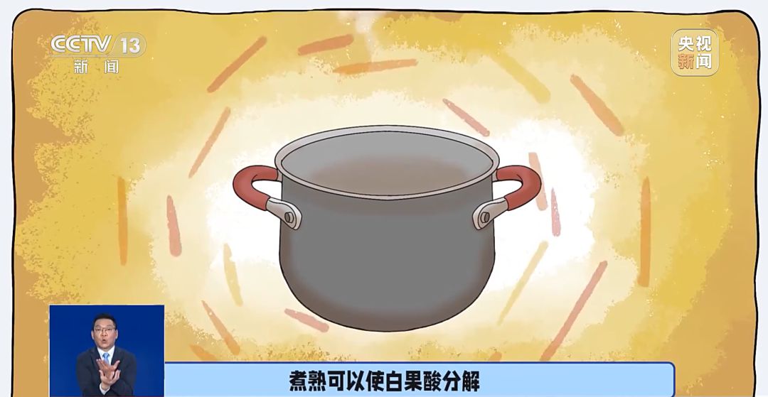 路边这种小果子千万不能捡食 处理不好会中毒