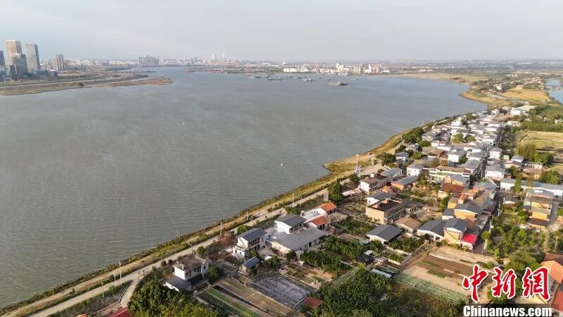 图为航拍南昌市东湖区扬子洲镇渔业村。 吴敏 摄.jpg